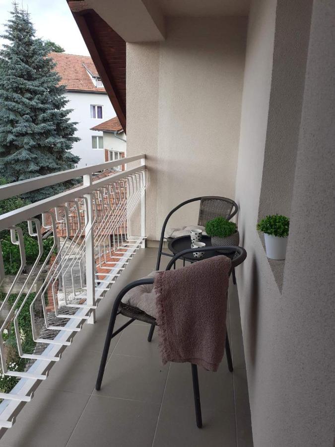 M Apartments Sokobanja Kültér fotó