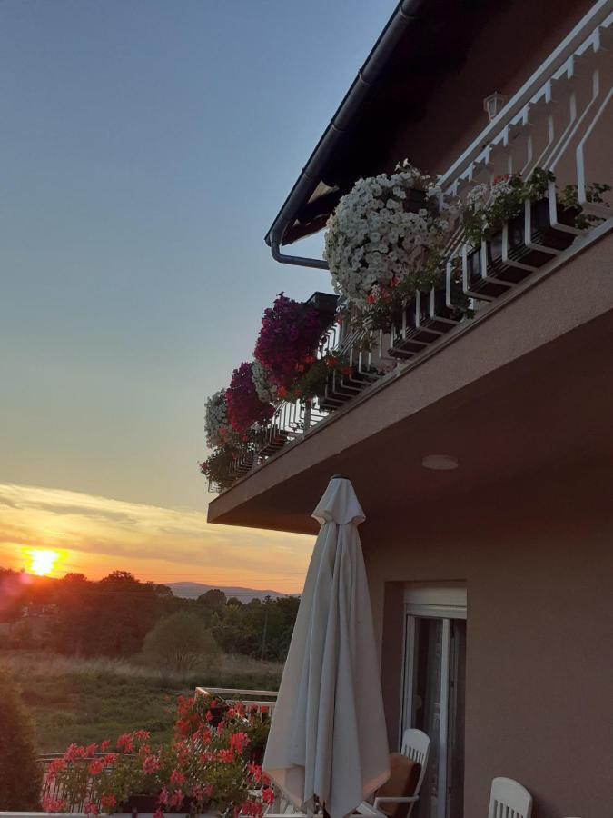 M Apartments Sokobanja Kültér fotó