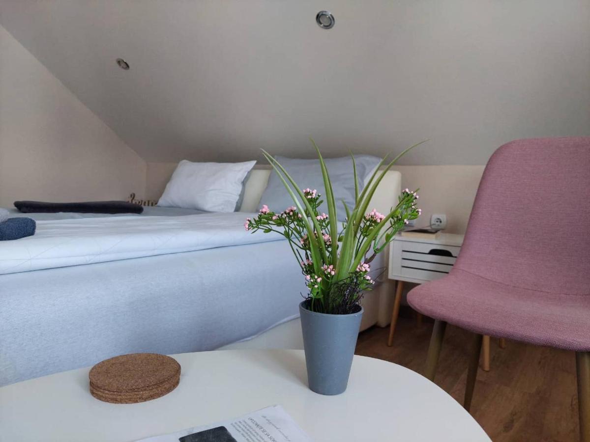 M Apartments Sokobanja Kültér fotó
