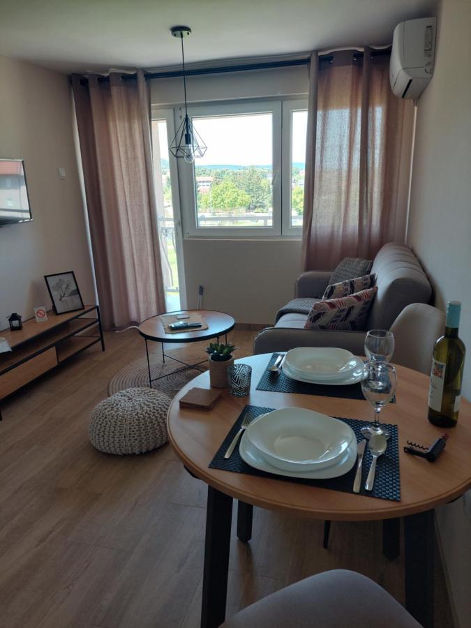 M Apartments Sokobanja Kültér fotó