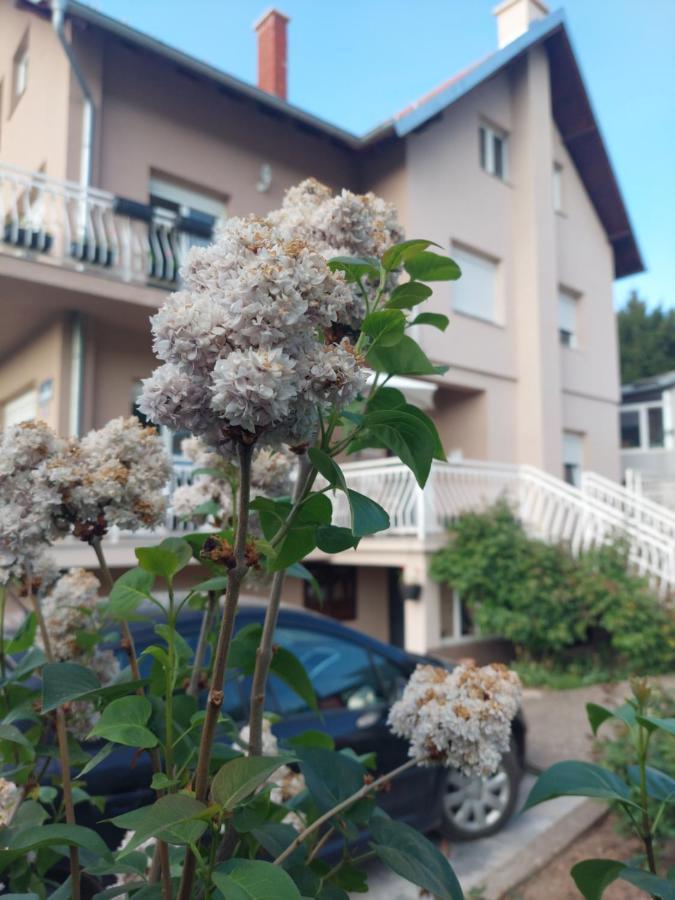 M Apartments Sokobanja Kültér fotó